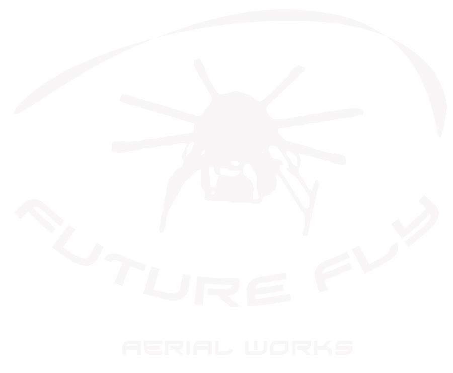 Future Fly